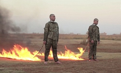 L'EI diffuse une vidéo montrant deux soldats turcs brûlés vifs  - ảnh 1